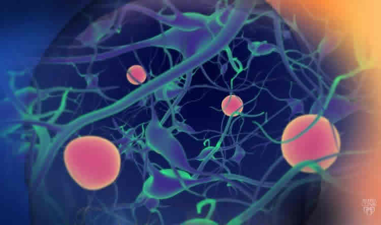 Image shows neurons.