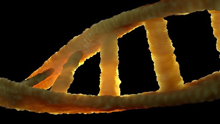 Image shows a DNA double helix.