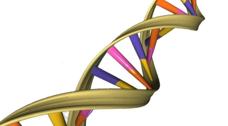 Image shows a DNa double helix.