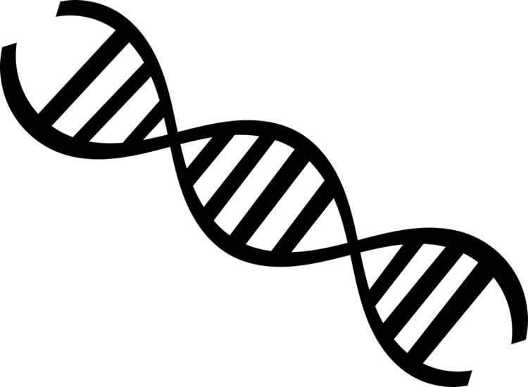 Image shows a DNA strand.