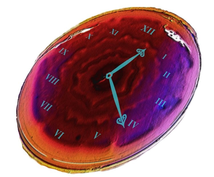 Image shows a clock face on a cell.