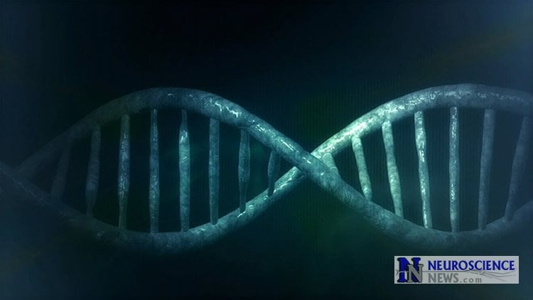 Image shows a DNA doble helix.