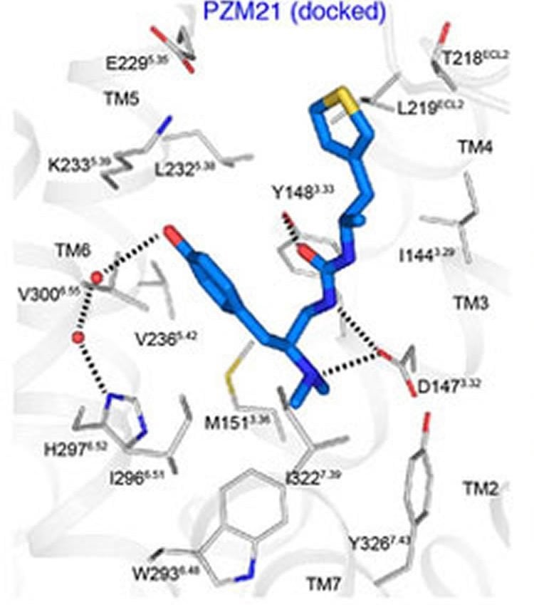 Image shows synthesized analgesic compound PZM 21.