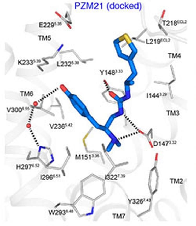 Image shows synthesized analgesic compound PZM 21.
