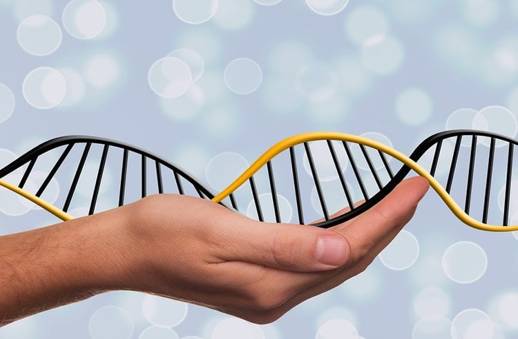 Image shows a person holding a DNA double helix.