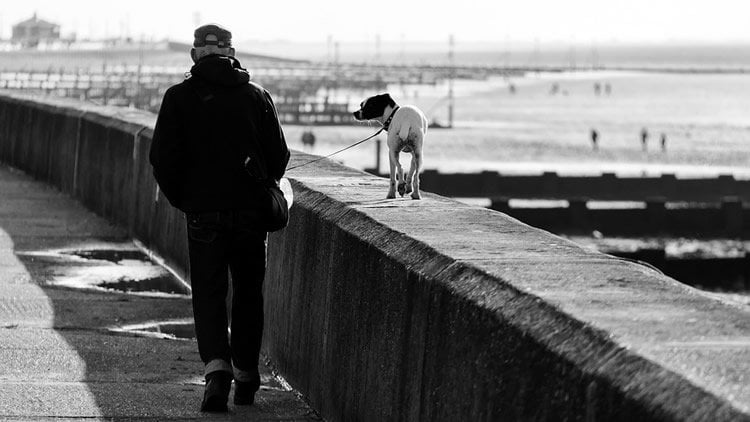Image shows an old man walking a dog.