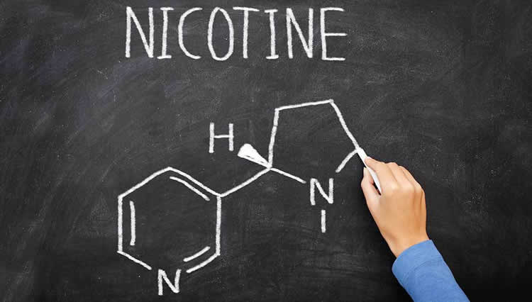 Image shows the molecular structure of nicotine drawn on a black board.