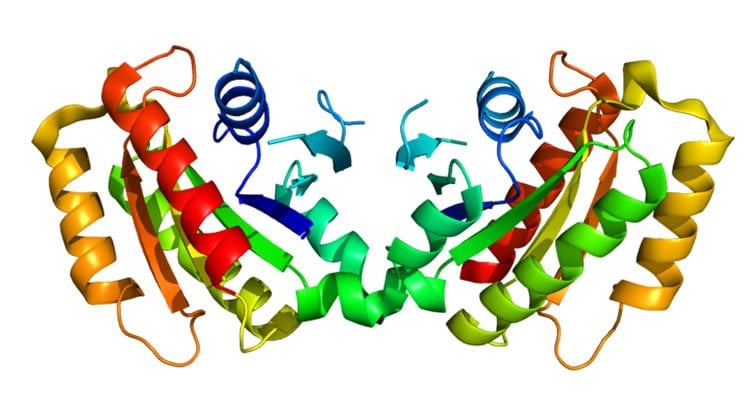Image shows the structure of the LRRK2 protein.