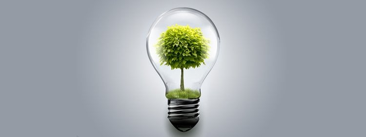 Image shows a light bulb with a tree inside.