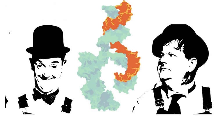 Image shows Laurel and Hardy and a DNA strand.