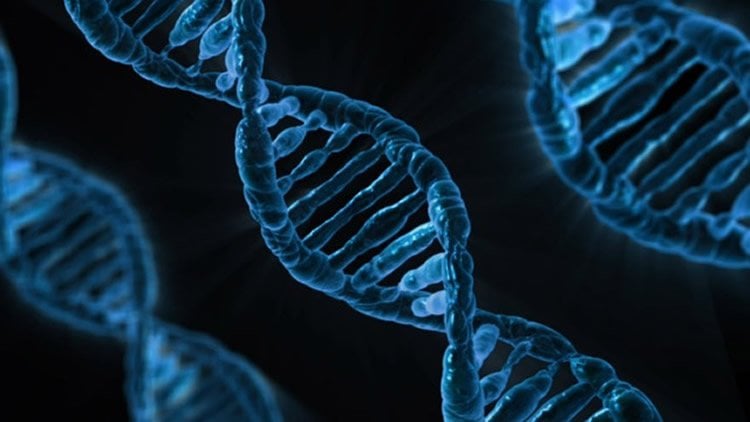 Image shows DNA strands.
