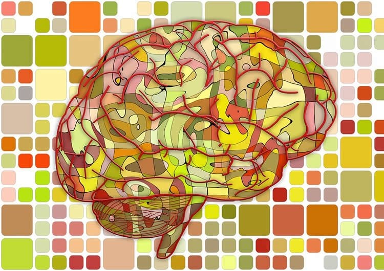 Image shows a brain made up of multicolors.
