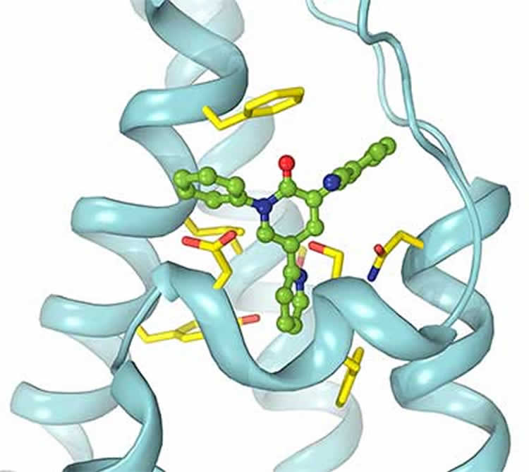 Image shows the binding site.