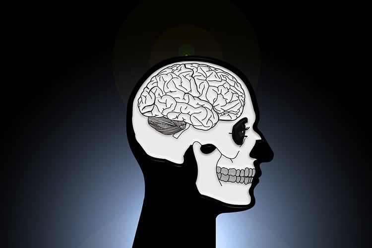 Image shows a head and brain.