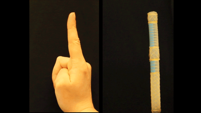 Image shows a finger moving and the robot moving.