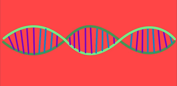 Image shows a DNA strand.