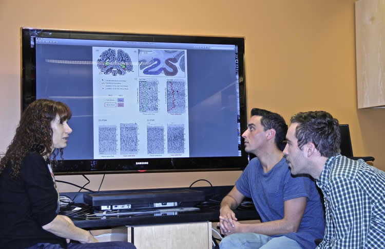 Image shows the researchers.