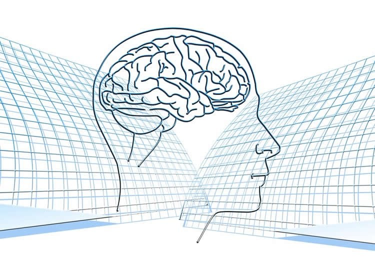 Image shows a drawing of a brain.