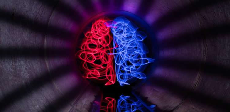 Image shows a drawing of a brain in red and blue.