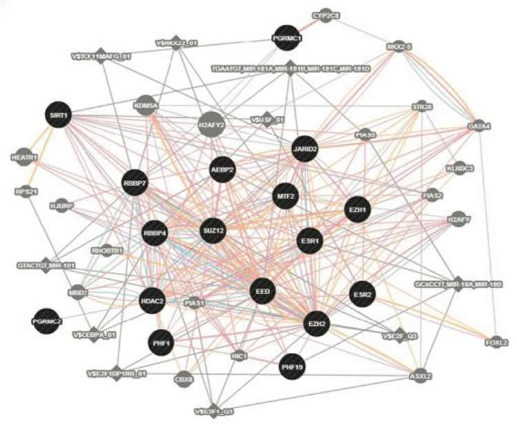 Image shows a diagram of the gene network.