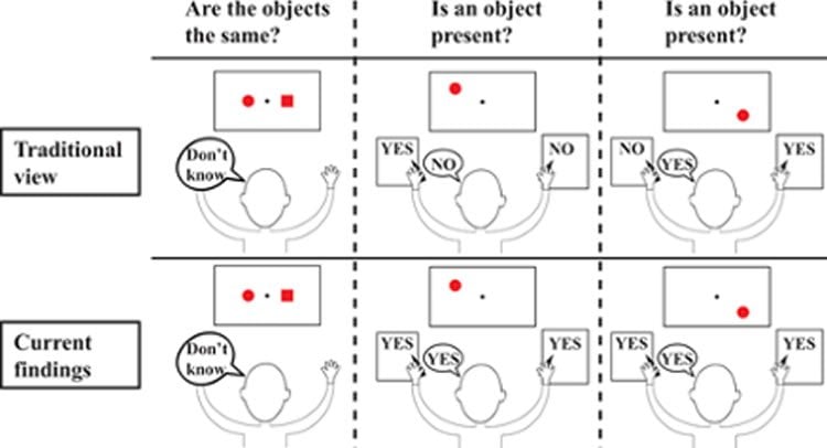 Image shows the experimental set up.