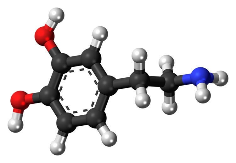 Image shows a stick and ball model of dopamine.