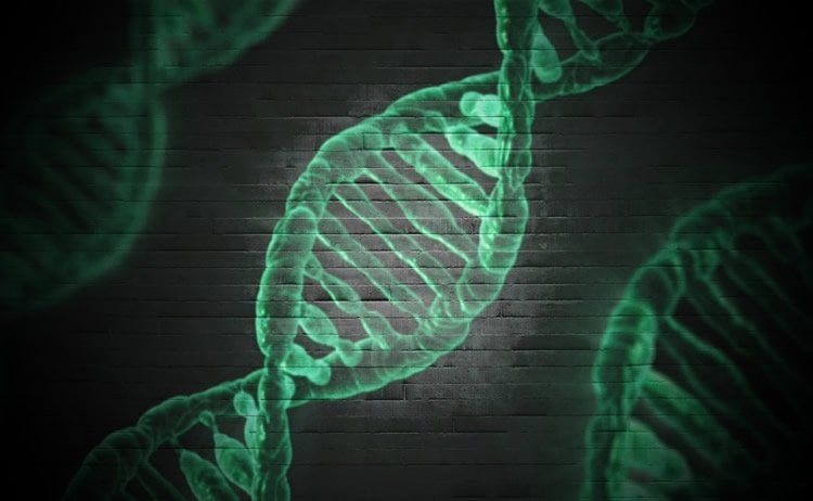 Image shows DNA strands in green.