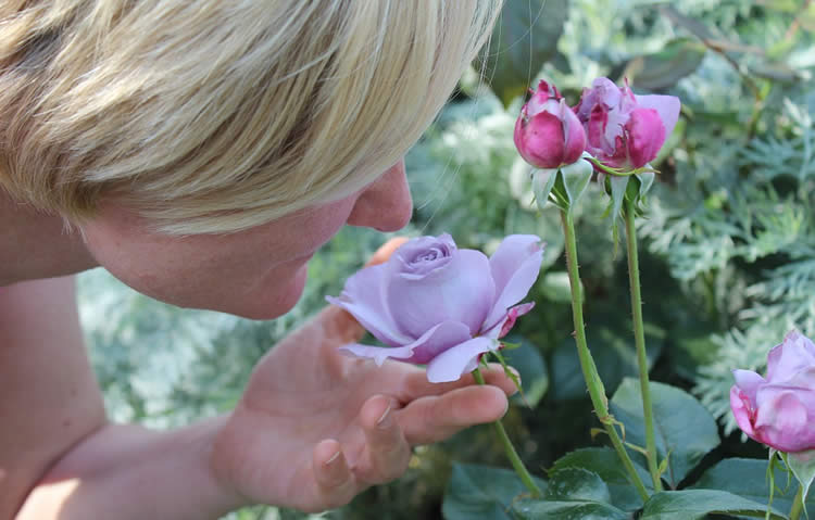Image shows a woman smelling a rose.