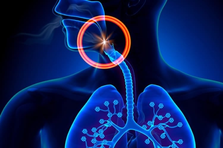 Image shows the outline of a person and their lungs in blue.