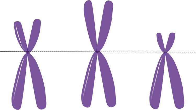 Image shows 3 purple X's.