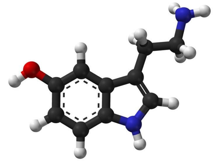 Image shows the structre of a serotonin molecule.