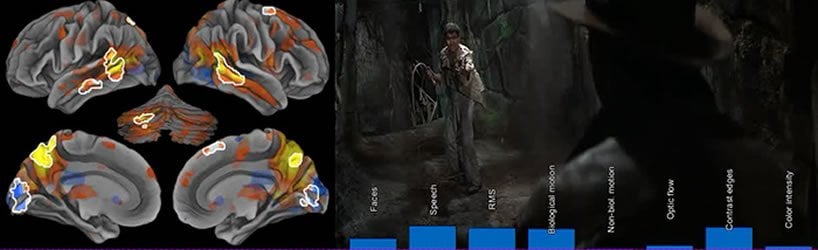 Image shows brain scans and a shot from a movie.