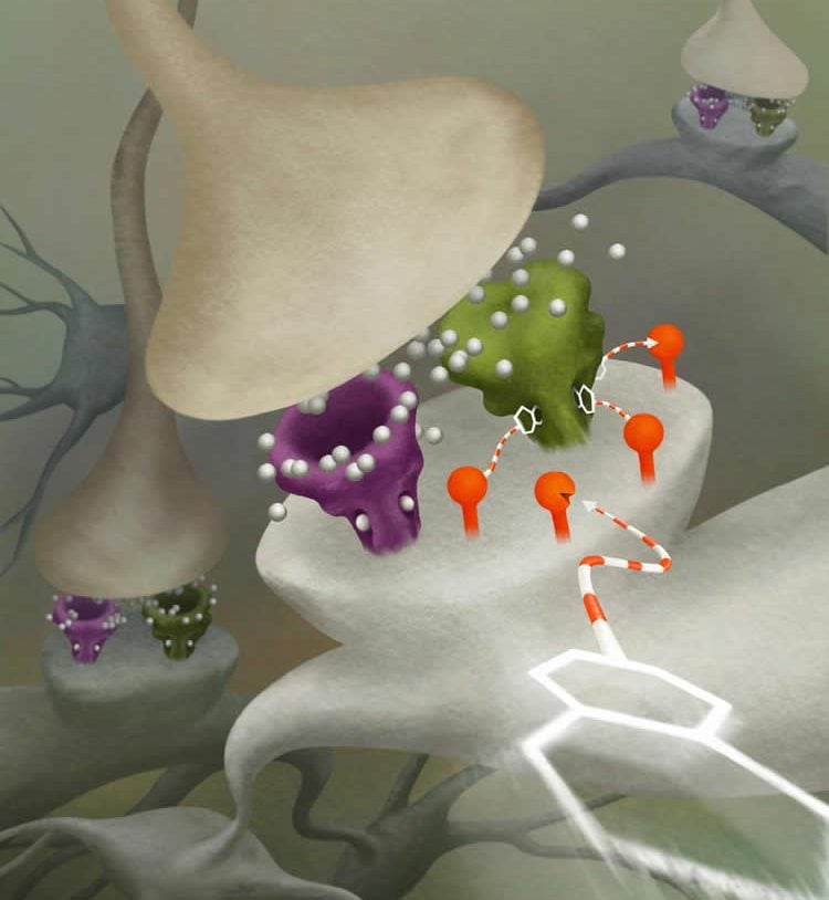 Image shows how the DART neuron drug delivery system works.