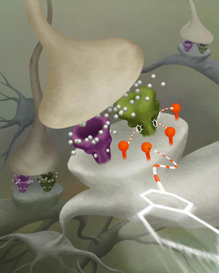  Image shows how the DART neuron drug delivery system works.