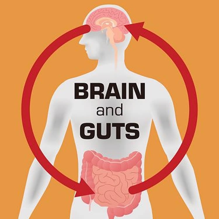 Image shows a diagram of the gut brain axis.