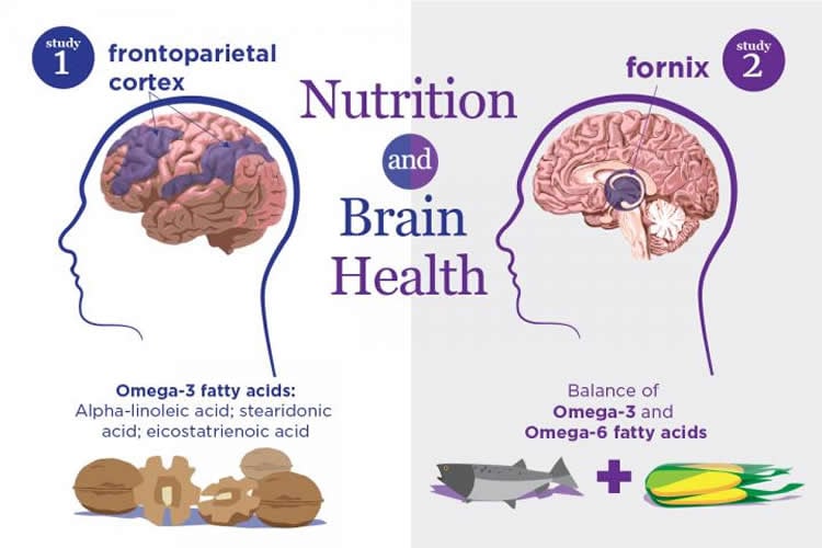 Image shows brains and foods high in omegas 3 and 6.
