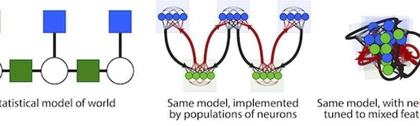 Image shows diagrams of neural networks.