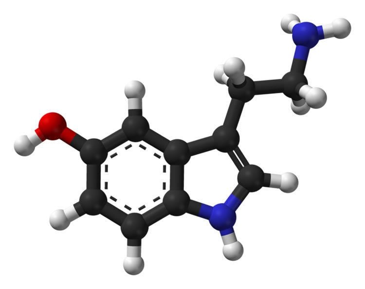 Image shows a stick and ball model of serotonin.