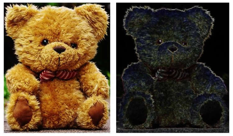 Image shows two teddy bears.