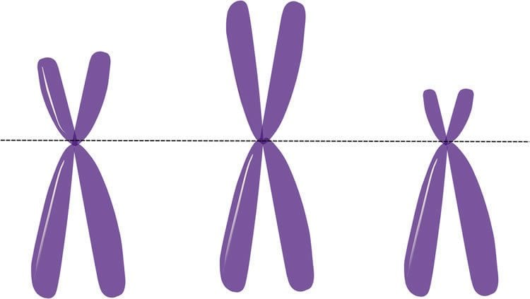 Image shows purple X's.