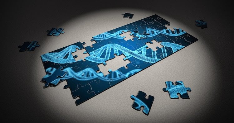 Image shows a dna stand and a jigsaw.
