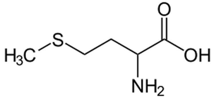 Image shows the chemical structure of methionine.