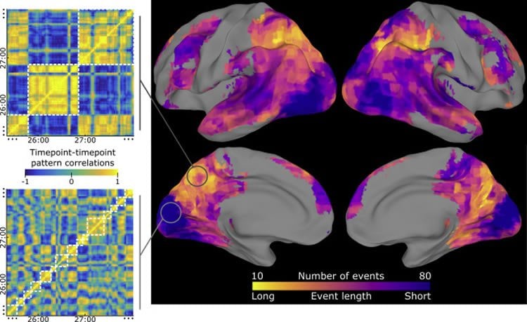 Image shows brain scans and event segmental models.