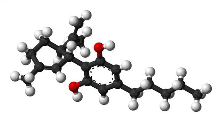 Image shows the structure of CBD.