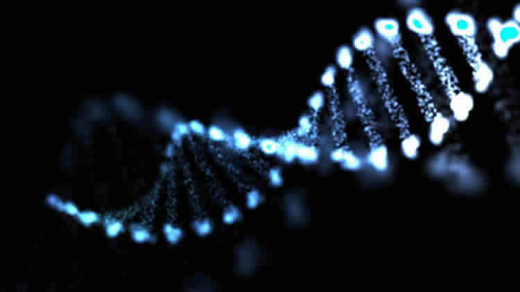Image shows a DNA strand.