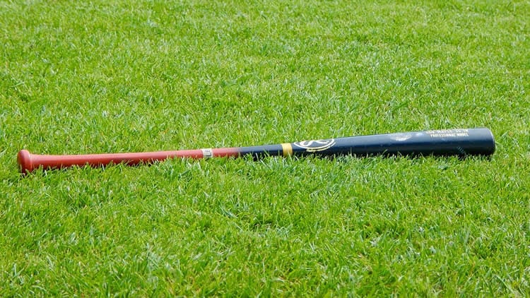 Image shows a baseball bat.