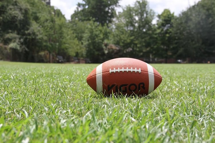 a football laying in grass