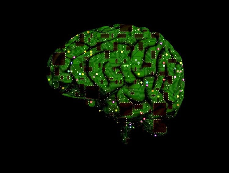 a computer chip brain