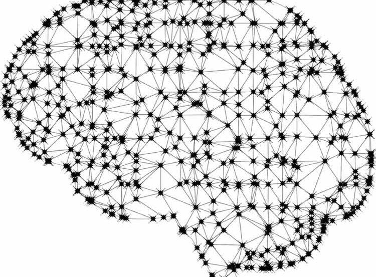 Image shows a brain made up of connected networks.