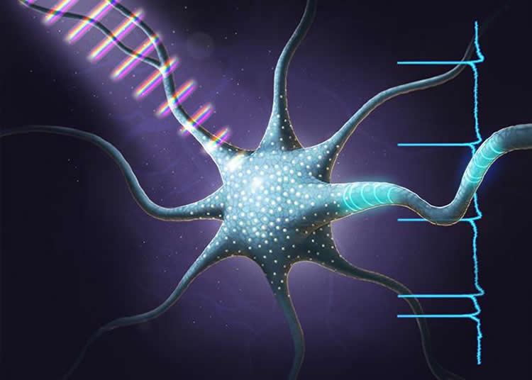 optogentics neuron image